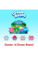 Donate 16 Dream Beams! - DSN